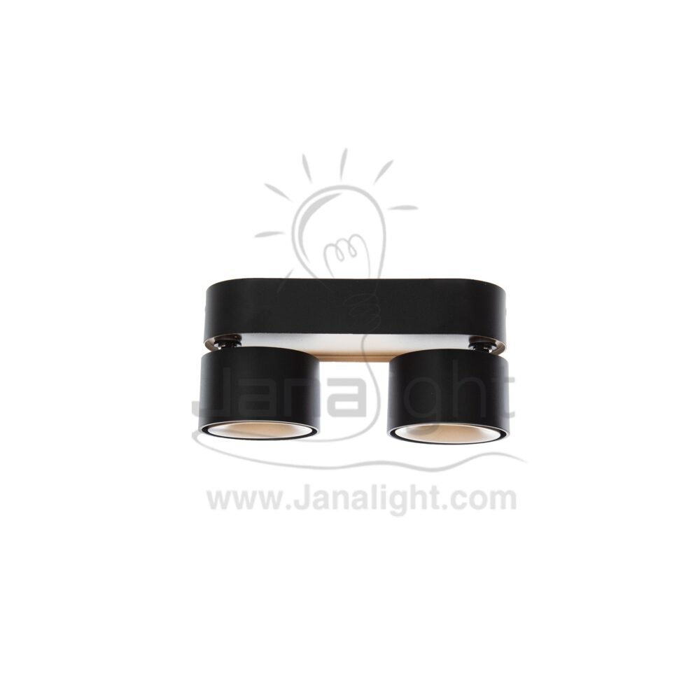 سبوت لايت سلندر 24 وات مجوز اسود cylinder downlight frame Double black- Champagne worm 24w